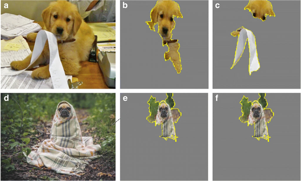 Artificial cognition: How experimental psychology can help generate explainable artificial intelligence