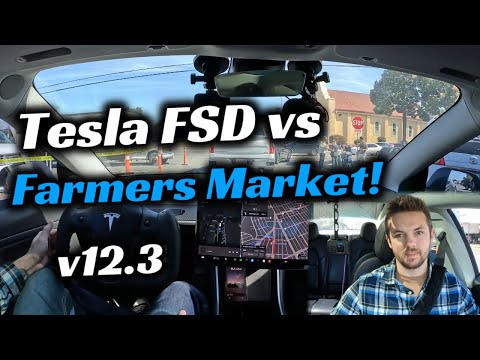 Tesla's FSD Beta v12.3 vs Sunday Mayhem!