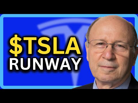 Tesla Stock Bulls vs Shorts (10 positives and 6 negatives)