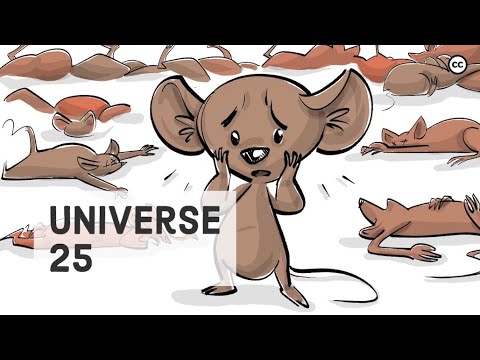 The Universe 25 Mouse Experiment