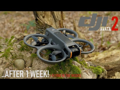DJI AVATA 2: AFTER 1 WEEK! IS IT WORTH THE HYPE? #dji #fpv #djiavata2 #lumixs5iix #drone #dronepilot