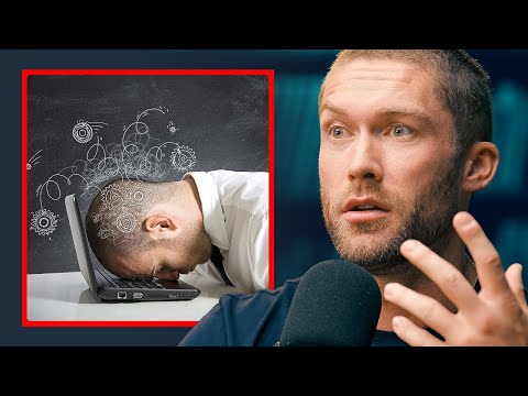 Productivity Killers: Unveiling the Hidden Culprits - Steven Bartlett