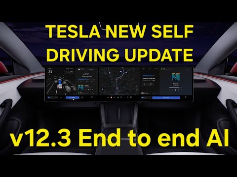 Tesla FSD v12.3: Autonomous Driving