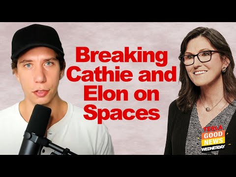 Tesla's Victory Over VW: Cathie and Elon's Meeting Sparks Industry Shift