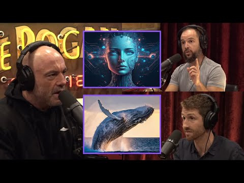 Using AI to Translate Animal Communication - Joe Rogan