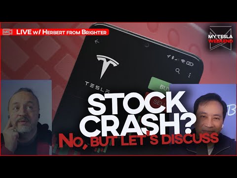 Stock CRASHING or SOARING? Staying sane in the chaotic stock market w/ Herbert from Brighter
