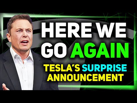 Elon on Removing Safety Monitors / Elon Is Not Happy / James Douma Talks Tesla AI