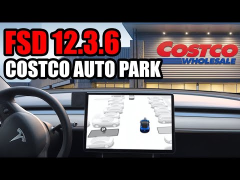 Tesla FSD 12.3.6 - The Ultimate Auto Park Test!