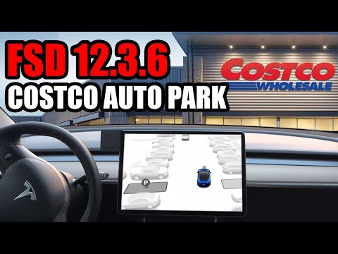 Tesla FSD 12.3.6 Auto Park Test: Successes and Challenges