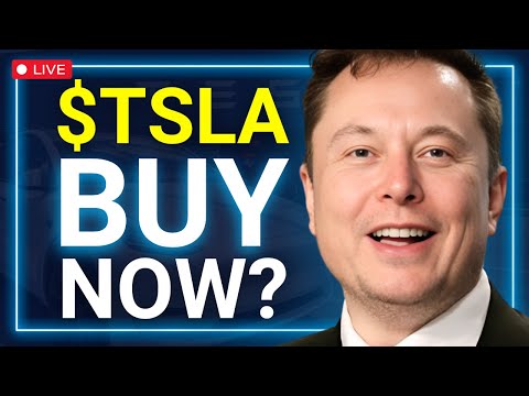 Tesla Stock Panic? Massive Buy Signal