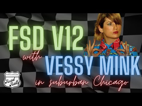 Tesla FSD V12: Smooth Cruise in Suburban Chicago - Self-Driving Technology Review