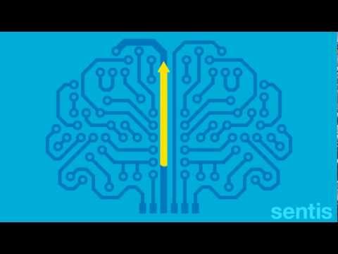 Unlocking the Power of Neuroplasticity: Transforming Your Brain for Lifelong Growth