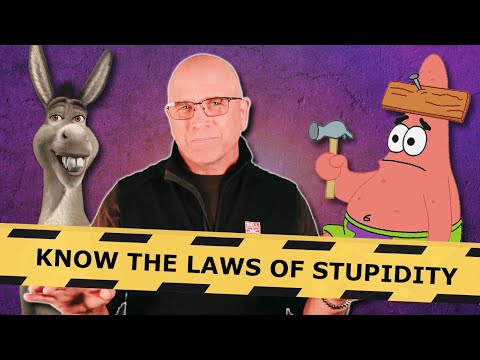 The Laws of Stupidity