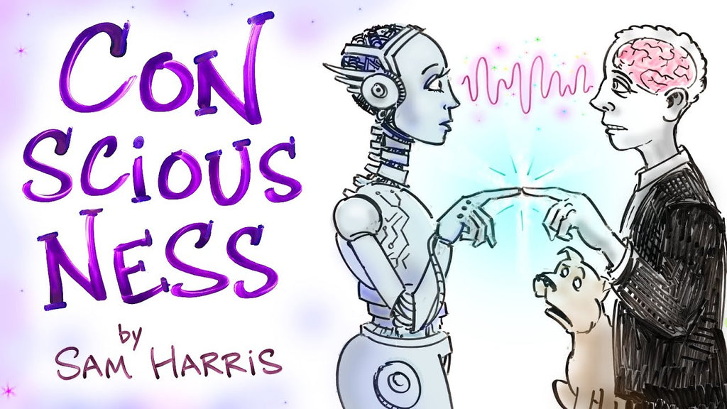 How Does Matter Give Rise To Consciousness? - Sam Harris