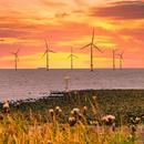 Offshore wind turbines could number 30,000 by 2030: New ideas in ocean engineering are needed to install them