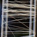 Microbially produced fibers: Stronger than steel, tougher than Kevlar