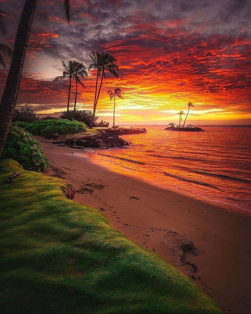 Nice View Captured In Hawaii