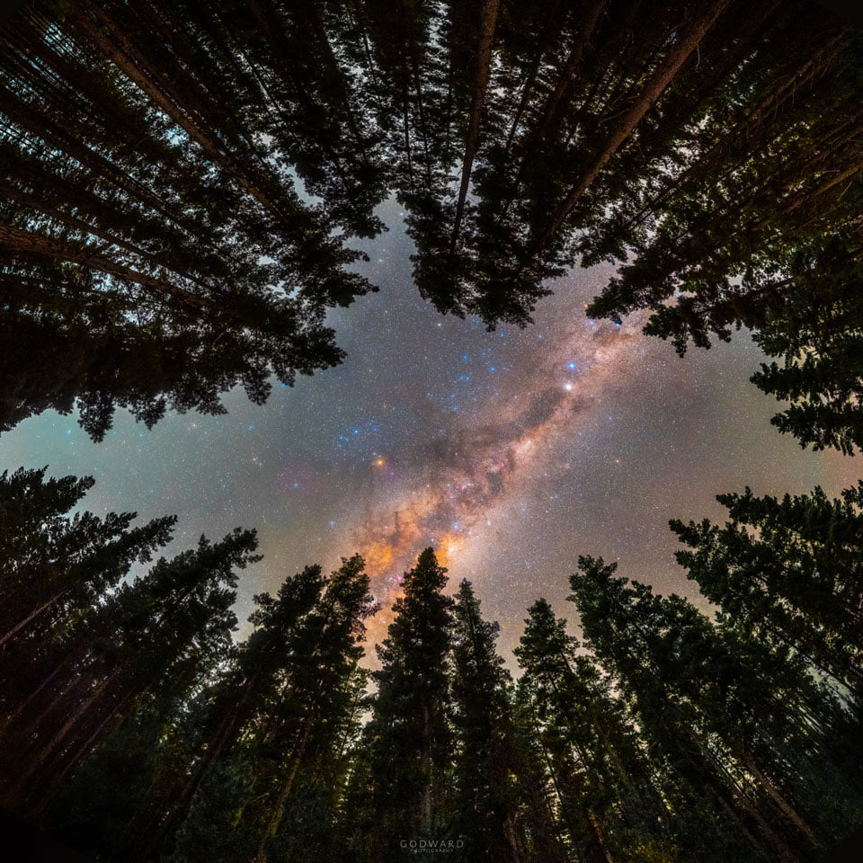 Framed by Trees: A Window to the Galaxy (2021 Jul 19)