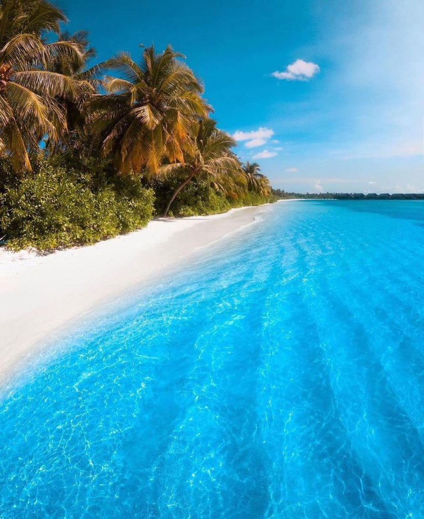 Heavenly Maldives