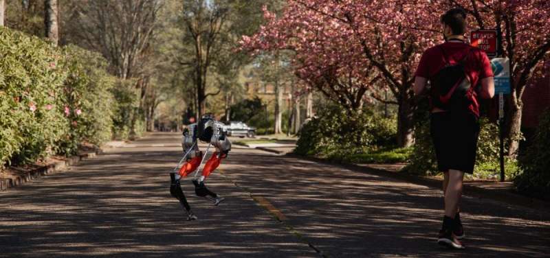 Bipedal robot makes history by learning to run, completing a 5K