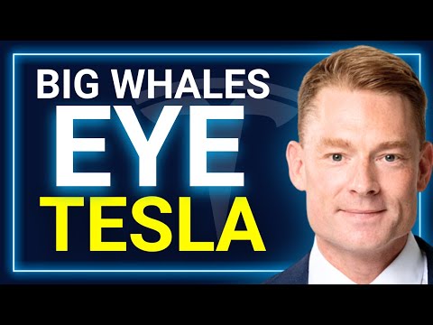 EXCLUSIVE: Tesla SOLVED Robotaxi, BULL RUN Ahead | Simon Hale