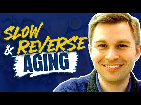 Harvard Professor Explains How To Reverse The Aging Process Feat. David Sinclair