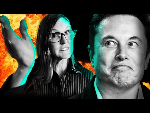 Elon Musk & Cathie Wood On Tesla, AI, Optimus & Dumb Investors