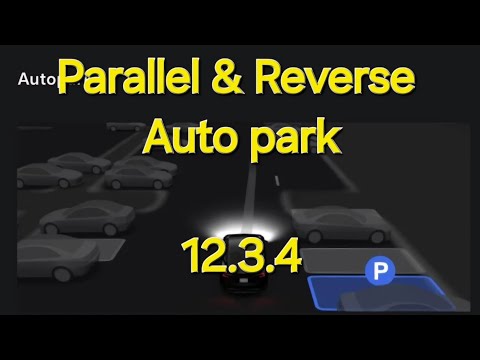 Tesla Auto Park: A Closer Look at v 12.3.4's Parallel Parking Feature