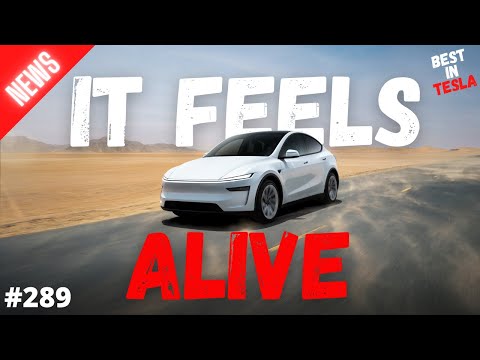 Tesla Robotaxi SHOCKS Analysts - “It feels ALIVE” - Elon shares Bad News - GM’s hidden problem