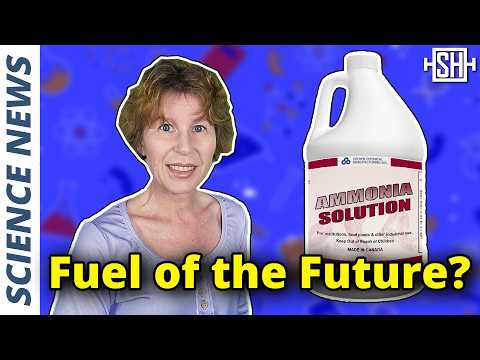 The Next Clean Fuel Hype Is Likely Ammonia