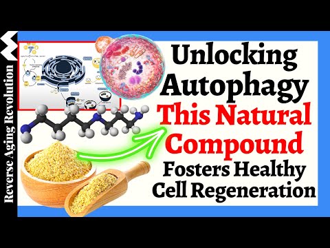 Unlocking Autophagy: This NATURAL Compound Fosters Healthy Cell Regeneration