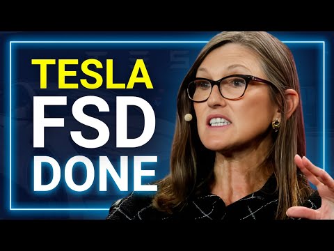 Tesla FSD Milestone ACHIEVED! What's Next for Elon?