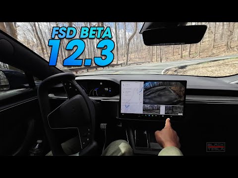 Tesla FSD Beta 12.3: Navigating Tight Roads and Challenges on Mountain Roads