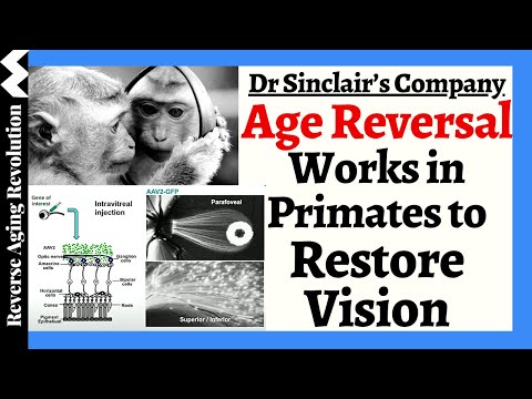 Dr Sinclair's Co Presents Groundbreaking Data On AGE REVERSAL To RESTORE VISION Via Reprogramming