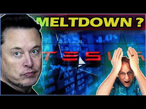How Much Risk Does Tesla Really Face With The Verdict?