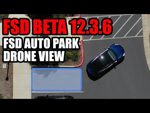 Advanced Auto Park Technology - FSD 12.3.6 (Drone View)