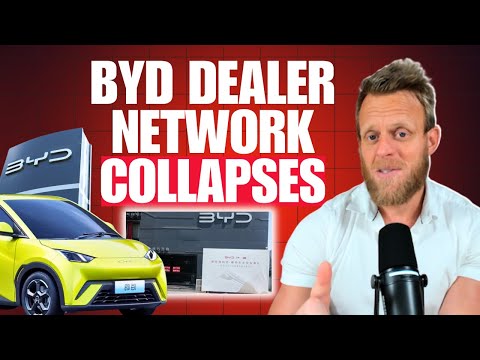 BYD’s Dealer Disaster: My Experience Amid Dealer Collapse in China