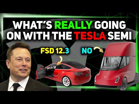 Tesla FSD v12.3 - The One? / Egregious "Reporting" on Tesla / Are We Being Scammed? ⚡️