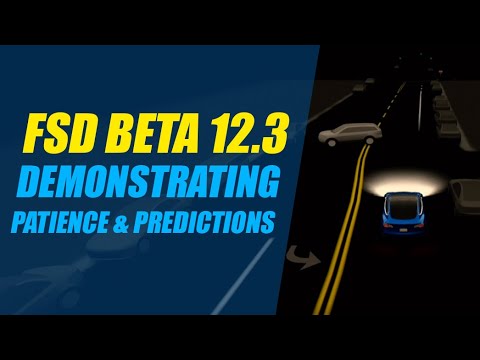 Tesla FSD Beta 12.3 Demonstrates Patience & Predictions