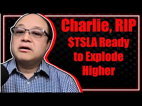 Tesla Optimus 1m in 2028; Deep Dive on Mega-Block; China Sold Out!! Tesla to Build Phone