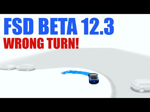 Tesla FSD Beta 12.3 - The One With The Wrong Turn