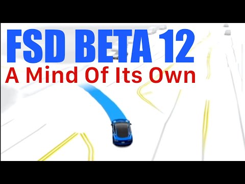 Tesla FSD Beta 12.3 - A Mind of It's Own