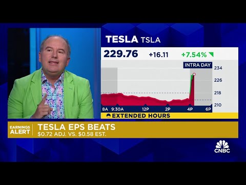 The story with Tesla earnings is gross margins, says Wedbush's Dan Ives