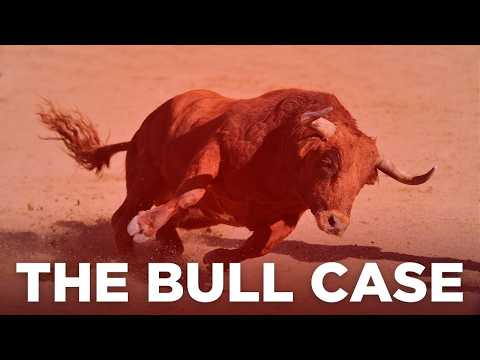 Tesla FSD v14: Why Bulls Are Fired Up