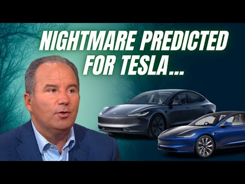 Wedbush say 2024 a "NIGHTMARE"  for Tesla but Elon can save the ship