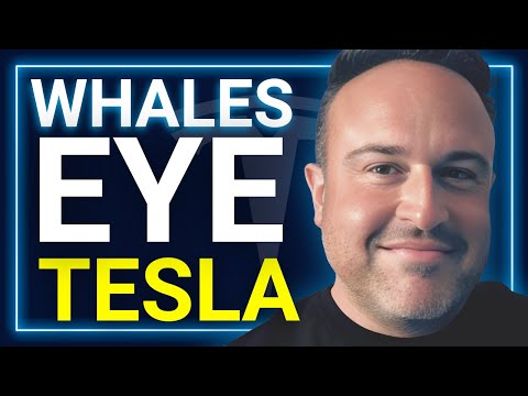 Tesla 10/10 Event: Will Affordable EVs Steal the Show??