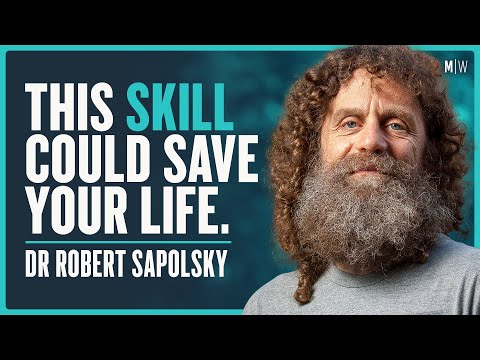 Mastering Stress: Insights from Dr. Robert Sapolsky | Modern Wisdom 693