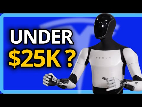 Tesla's Humanoid Bot: Affordable Innovation Under $25k