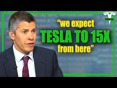 Tesla Shareholders SPEECHLESS After “THIS” Morgan Stanley Interview!
