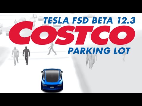 Tesla FSD 12.3 Navigates Costco Parking - Impressive Demonstration